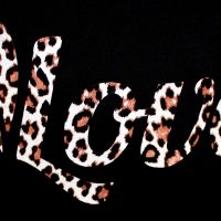 Auch spezielle Effektfolien sind für Textilien möglich, wie hier zu sehen im coolen Leolook.
